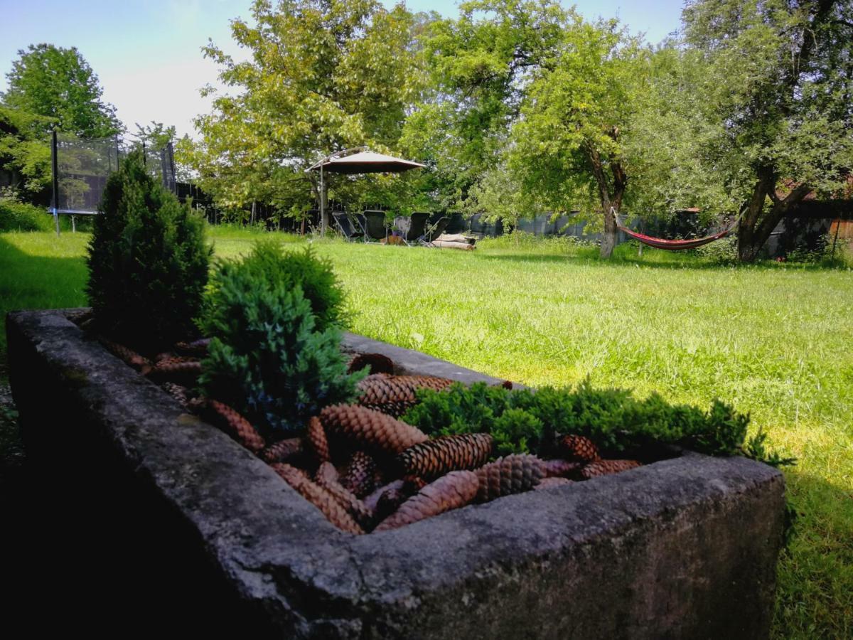 Pensiunea Balea Sat Cartisoara Exterior foto
