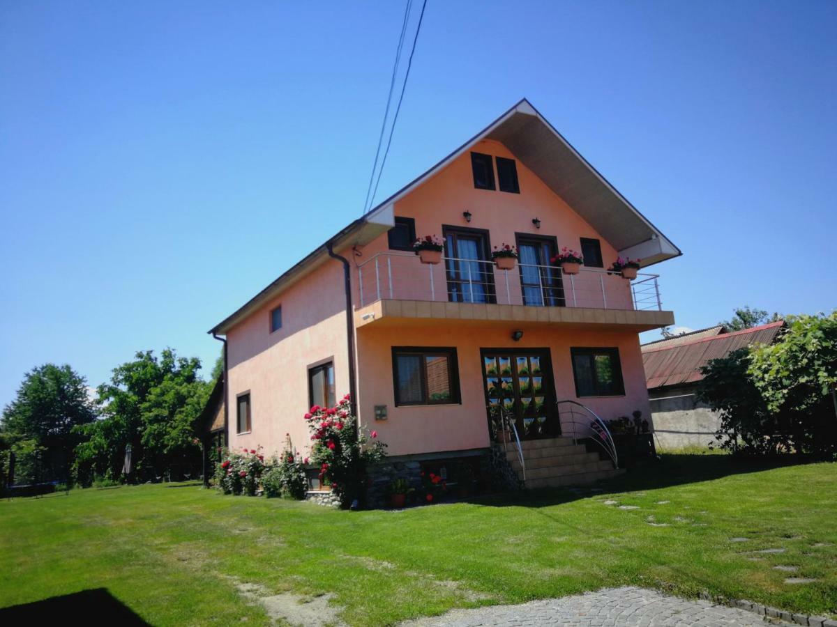 Pensiunea Balea Sat Cartisoara Exterior foto